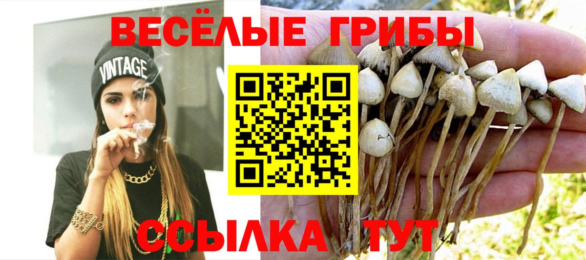 Галлюциногенные грибы Psilocybine cubensis  Вход с VPN  Гусиноозёрск  Галлюциногенные грибы Psilocybine cubensis 