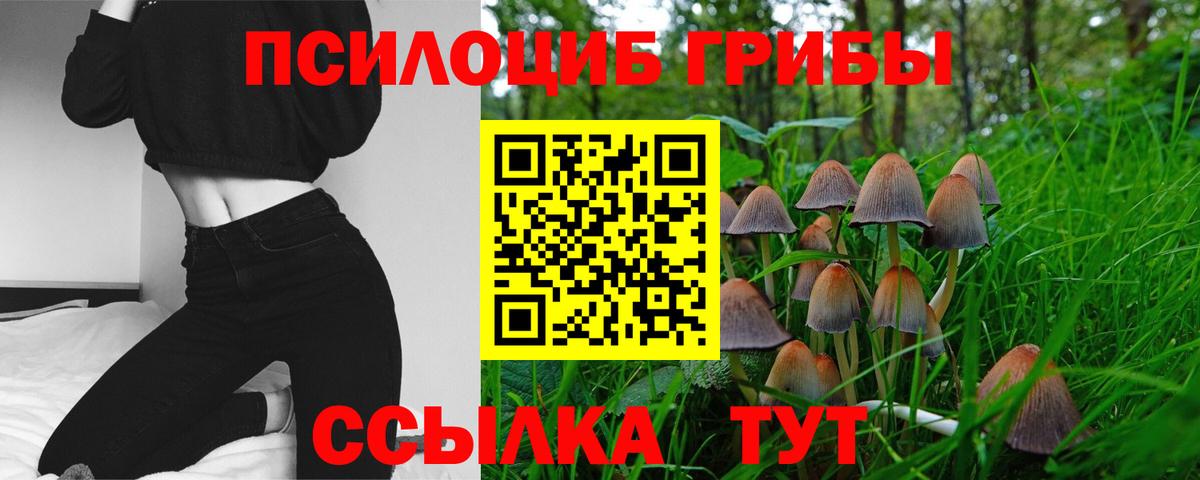 Галлюциногенные грибы ЛСД Гусиноозёрск